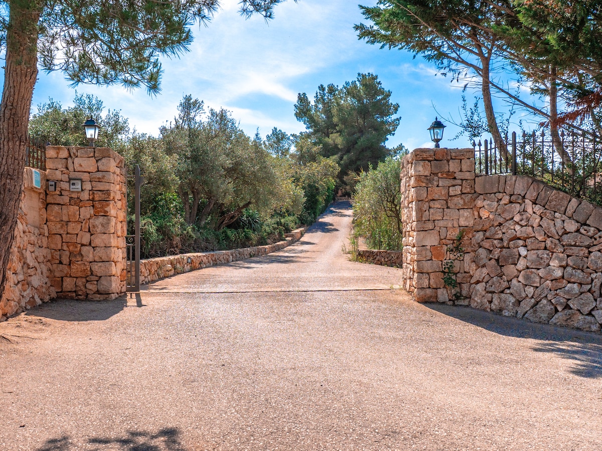 Einfahrtstor der Finca Es Castell mit Natursteinmauer