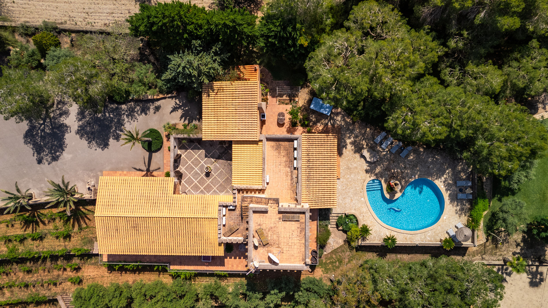 Senkrechte Luftaufnahme von Finca und Pool