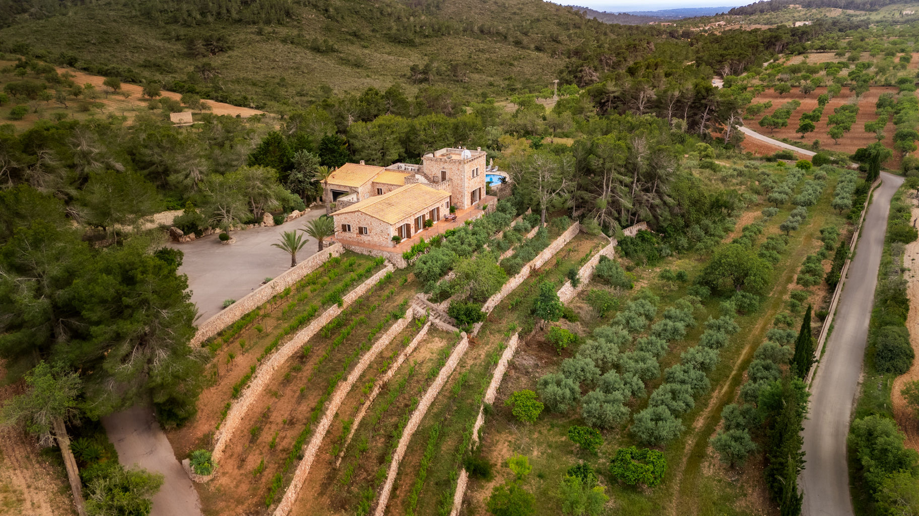 Luftbild der Weinterrassen und Olivenhaine rund um die Finca